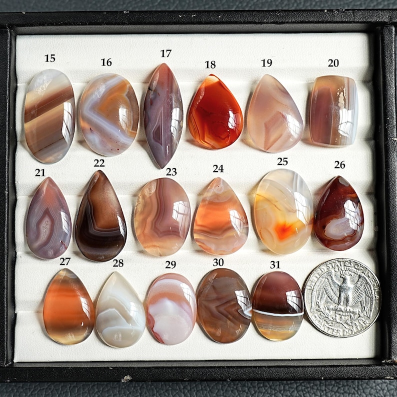 K&ouml;nnte beinhalten: Eine Sammlung von siebzehn polierten, mehrfarbigen Achat-Cabochons in verschiedenen Formen wie oval, tropfenf&ouml;rmig und marquise, angeordnet in einem schwarzen Display-Tablett mit nummerierten Etiketten von 15 bis 31 und einer US-Quarter-M&uuml;nze.