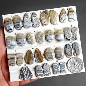 May include: A collection of polished, banded agate cabochons in various shapes and sizes, arranged on a white display tray. The stones feature intricate gray, white, and tan patterns. A US quarter coin is included for scale next to the stones.