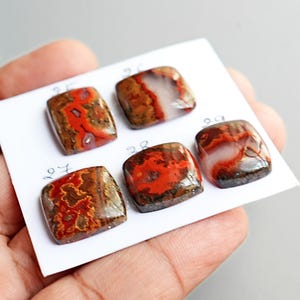 May include: Five square-shaped polished gemstones with rounded corners, featuring intricate patterns of deep red, brown, and translucent white. Each stone is labeled with handwritten numbers 25, 26, 27, 28, and 29 on a white card.