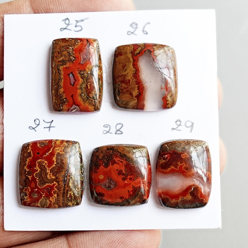 May include: Five polished, rectangular cabochon gemstones with intricate patterns of red, brown, and translucent white. Each stone is labeled with handwritten numbers 25, 26, 27, 28, and 29 on a white display card, showcasing varied mineral inclusions.