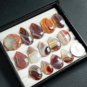 K&ouml;nnte beinhalten: Eine Sammlung polierter, mehrfarbiger Achat-Cabochons in verschiedenen Formen, darunter tropfenf&ouml;rmig und oval, angeordnet in einer schwarzen Pr&auml;sentationsbox mit wei&szlig;em Einsatz. Eine M&uuml;nze liegt daneben als Gr&ouml;&szlig;envergleich.