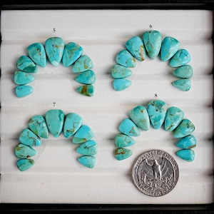 Kingman Mohave Turkoois Cabochon: Naja Cluster Sets Platte Losse Edelstenen voor het Maken van Sieraden
