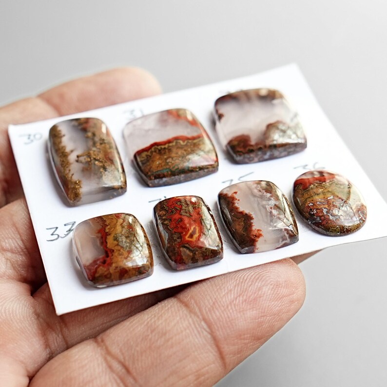May include: Seven polished cabochon gemstones arranged on a white card with handwritten numbers. The stones feature translucent white, brown, and deep red moss agate patterns with organic inclusions. Each piece has a smooth, glossy, rounded surface.