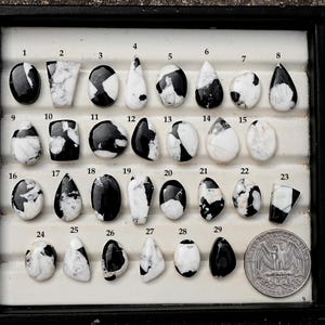 White Buffalo Turquoise Cabochon: Natural White Black Flatback Loose Gemstones for Jewelry Making