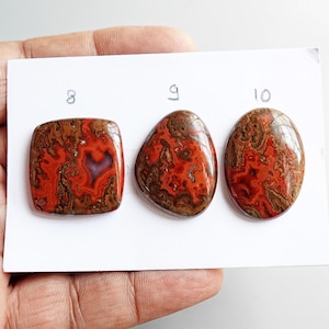 May include: Three polished, smooth, cabochon-cut gemstones with intricate patterns of deep red, burnt orange, and dark brown swirls. The stones are arranged on a white card labeled with the handwritten numbers 8, 9, and 10 above each piece.