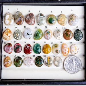 Può includere: Una collezione di 29 pietre preziose lucide in vari colori e motivi, tra cui verde, marrone, bianco e rosso. Un quarto di dollaro USA è incluso per il confronto delle dimensioni. Le pietre preziose sono esposte in un vassoio nero.