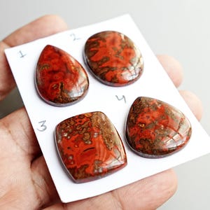 May include: Four polished cabochon gemstones with a vibrant red and brown mottled pattern. The stones are arranged on a white card labeled with the numbers 1, 2, 3, and 4. Each stone features a smooth, glossy surface with unique organic inclusions.