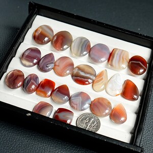 K&ouml;nnte beinhalten: Eine Sammlung polierter, mehrfarbiger Achat-Cabochons in verschiedenen Formen wie rund, oval und tropfenf&ouml;rmig, angeordnet in einem schwarzen Pr&auml;sentationstablett mit wei&szlig;en Schlitzen. Eine amerikanische Zehn-Cent-M&uuml;nze dient als Gr&ouml;&szlig;envergleich.