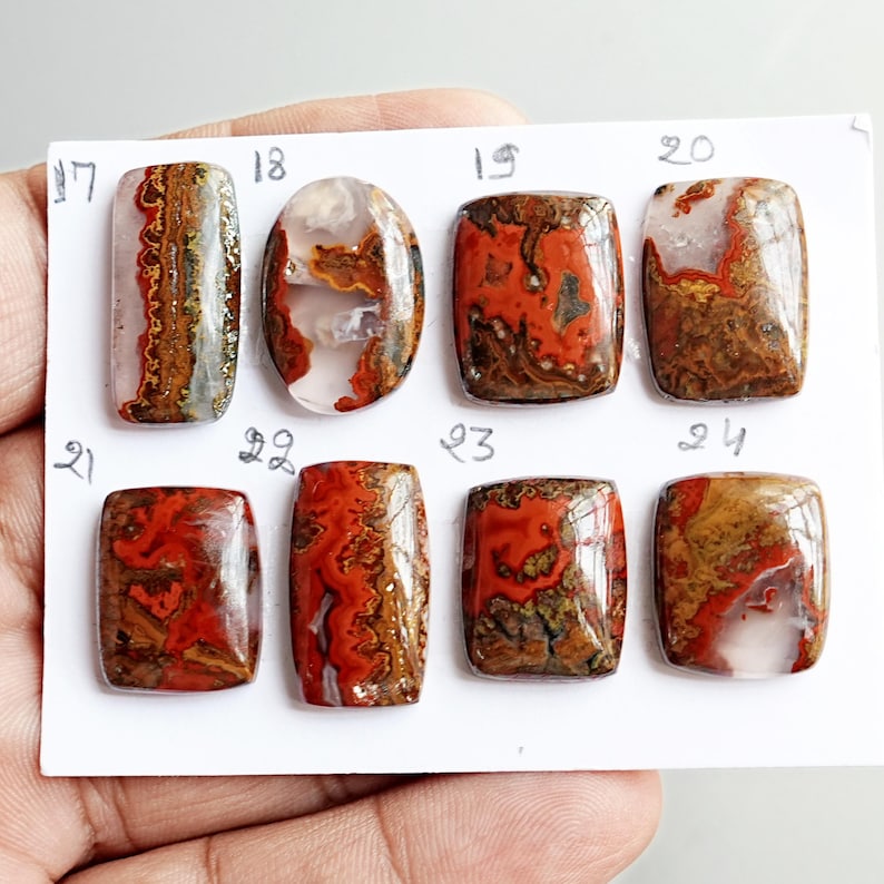 May include: Eight polished cabochon gemstones arranged in two rows on a white card, labeled 17 through 24. The stones feature swirling patterns of red, brown, orange, and translucent white, with varied rectangular and oval shapes and smooth surfaces.