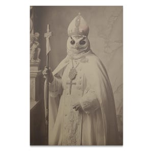 Owl Pope Poster carta opaca/lucida di alta qualità, vintage vittoriano, poster parodia, stampa poster artistica, foto di animali
