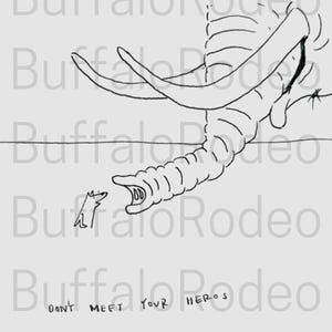 1 Hondenstrip 'Don't Meet Your Heroes'