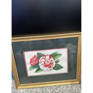 Mary Smith Flower Print Professionally Framed