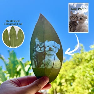May include: A green cinnamon leaf with a laser-etched image of a cat and a dog. The leaf is held up against a blue sky. A small photo with the text "Your Photo" is in the upper right corner. The text "Real Dried Cinnamon Leaf" is in the upper left corner.