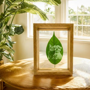 Può includere: Un'opera d'arte incorniciata in legno chiaro, raffigurante una foglia verde incisa con l'immagine di un gatto e un cane. L'opera è posta su un tavolo rotondo di legno. Una grande pianta verde è visibile sullo sfondo, con la luce naturale di una finestra.