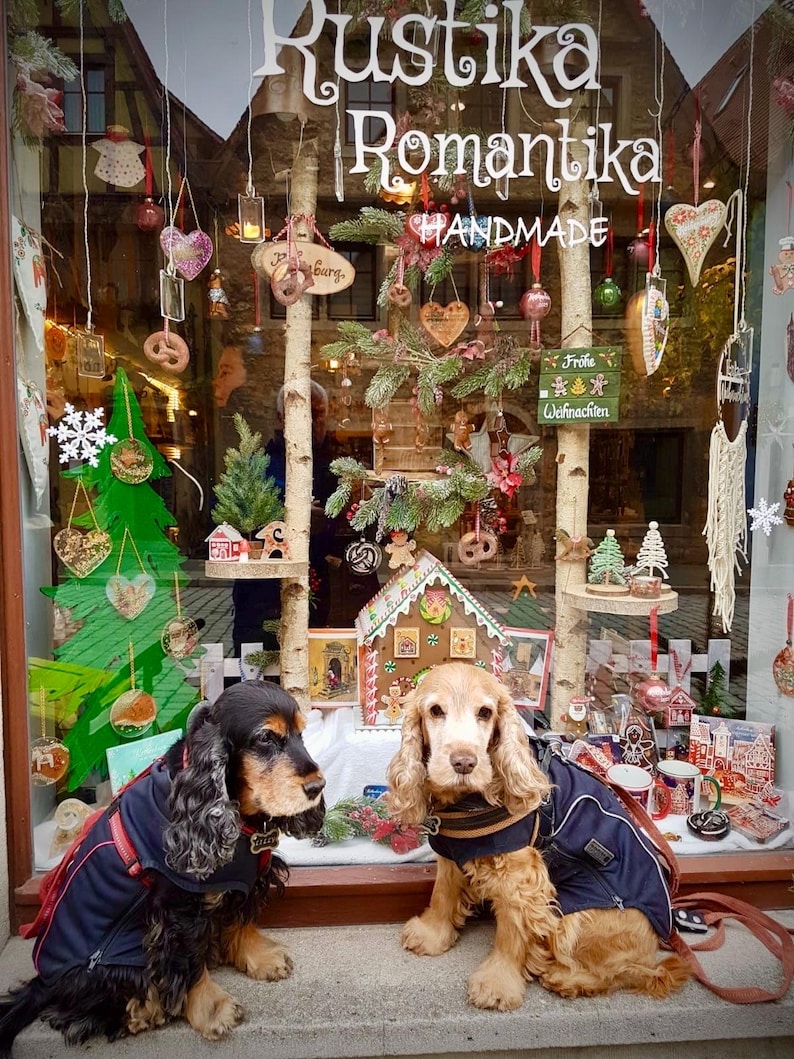 Szwedzki znak powitalny, znak z koniem Dala, szwedzkie prezenty, znak z nazwiskiem, znak Välkommen, znak powitalny, szwedzki znak, skandynawski, ręcznie robiony zdjęcie 12