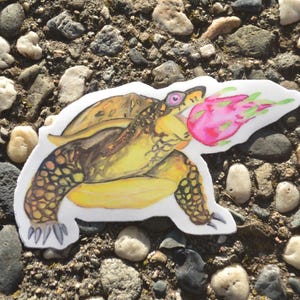 Drachen-Schildkröte Kaiju