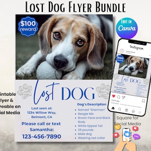 Editable Lost Dog Flyer Template: Printable Missing Pet Poster (Digital Download)