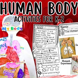 May include: Educational materials for human body activities for K-2, featuring a hand-drawn paper human figure with labeled organs, worksheets about the heart and liver, and photographic instructions for lung and stomach experiments.