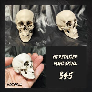Realistic 3D Printed Human Skull Replica – Hand-Painted, High Detail