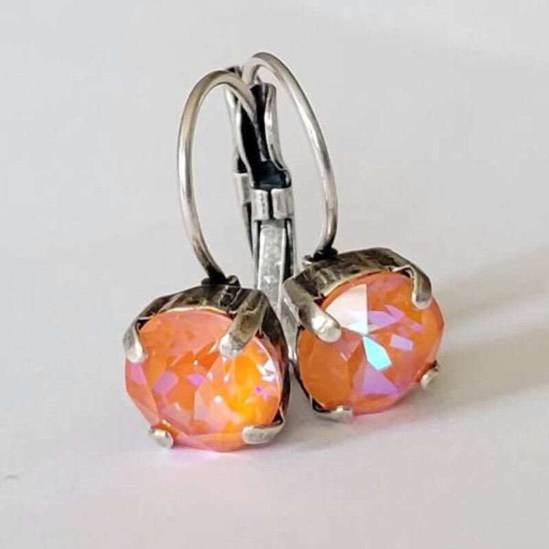 Elegant Orange Stone Earrings main image 1