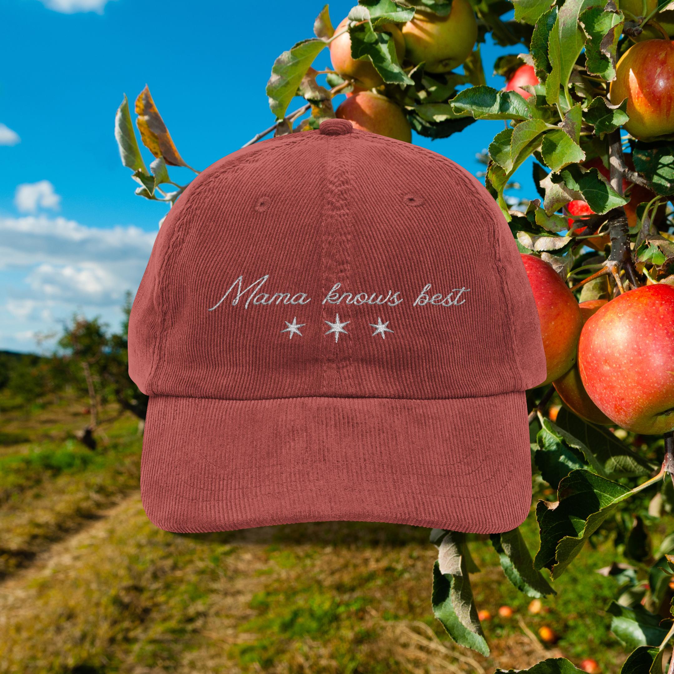MOTHER Corduroy \'Mother Knows Best\' Cap in Wine and Pink Trophy Mom Corduroy Hat — 18 Summers main image 3