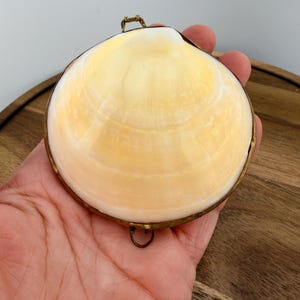 May include: A hinged clam shell container featuring a smooth, pale yellow and white exterior surface. The shell is encased in a thin, dark metallic frame with a small loop at the top and bottom, allowing it to open and close securely.