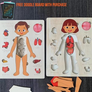 Montessori Human Body Puzzle – Educational Wooden Anatomy Toy for Kids | STEM Learning Gift for Toddlers and Children
