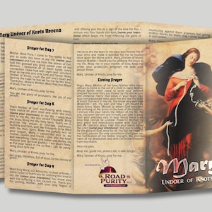 Mary Undoer of Knots novena  - Prayer Card