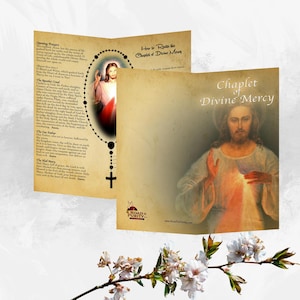 Chaplet of Divine Mercy - Prayer Card / 3x 6&quot; folded (p) (c)
