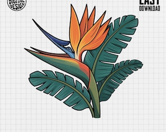 Clipart de Ave do Paraíso: Floral Tropical PNG (Download Digital)