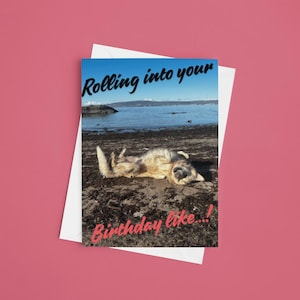 Nelson The Golden Retriever Dog - Rolling in your birthday like...!  Verjaardagskaarten - A6-kaart - 350 g/m²