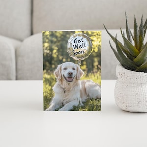 Nelson The Golden Retriever Dog dizendo Melhoras! Cartões de incentivo - Cartão A6 - 350 gsm