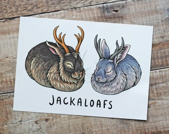 Jackaloafs Illustration A4 Print