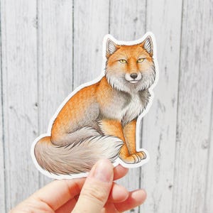 Puede incluir: Una pegatina con una ilustración detallada de un zorro rojo sentado. El zorro tiene pelaje naranja, pecho blanco y cola esponjosa. La pegatina se sostiene sobre un fondo de madera blanca.