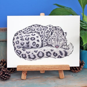 Snow Leopard Illustration A4 Print