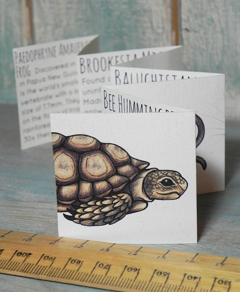 May include: A close-up of a small, brown turtle with a detailed illustration of its shell and head. The turtle is on a white card with black text that reads "BROOKESTAM" and "BEE HIIMMTAY".
