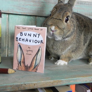 The Tiny Little Book of Bunny Behaviour - Illustration Mini Zine