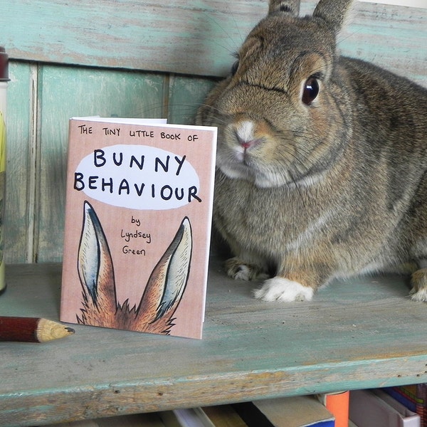 The Tiny Little Book of Bunny Behaviour - Illustration Mini Zine