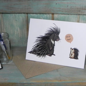 Porcupine & Hedgehog 'Nice Hair' Illustration Card