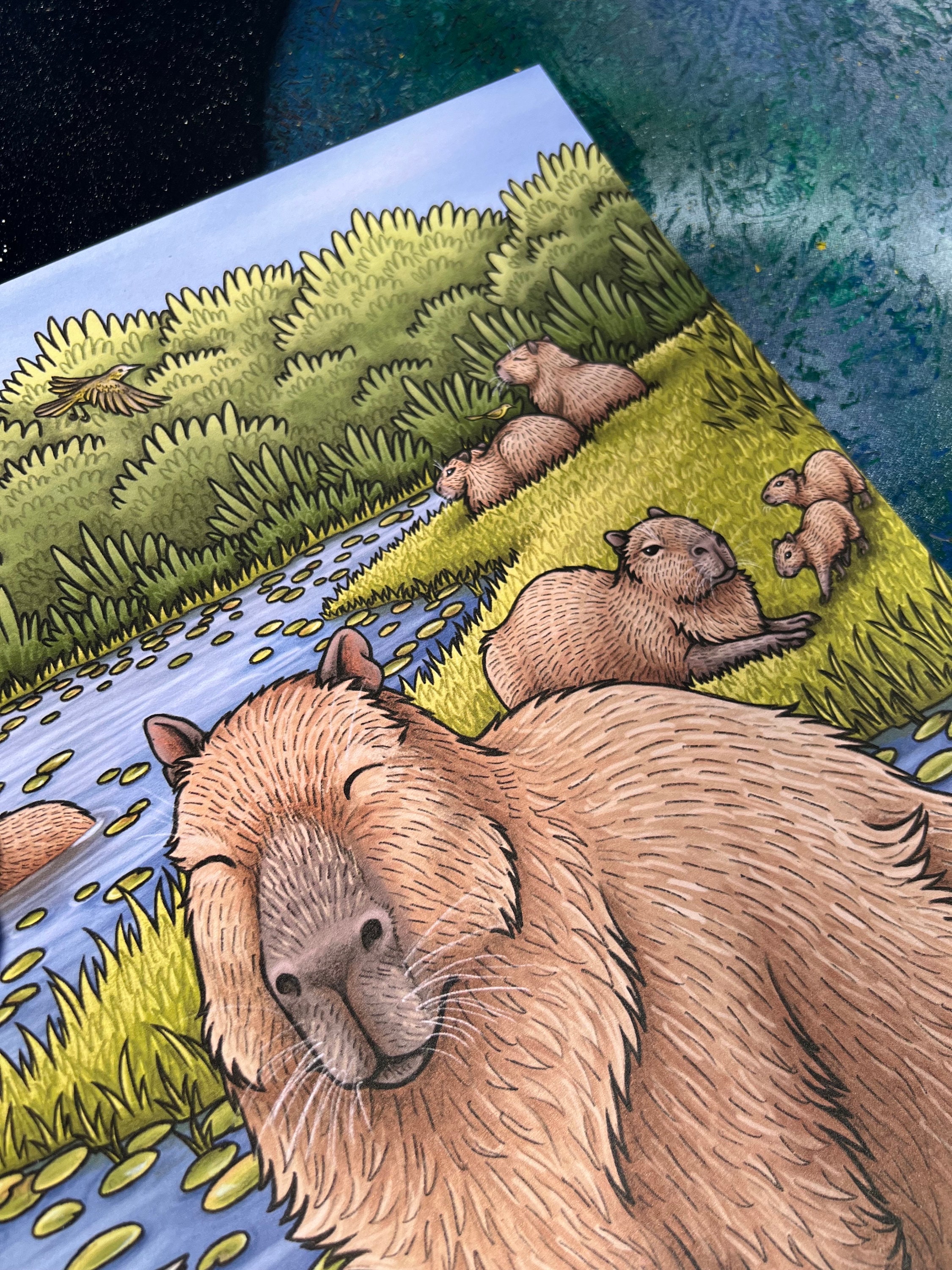 Capybaras Illustration A3 Print - Etsy