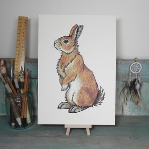 Bran the Bunny ~ Rabbit Illustration A4 Print
