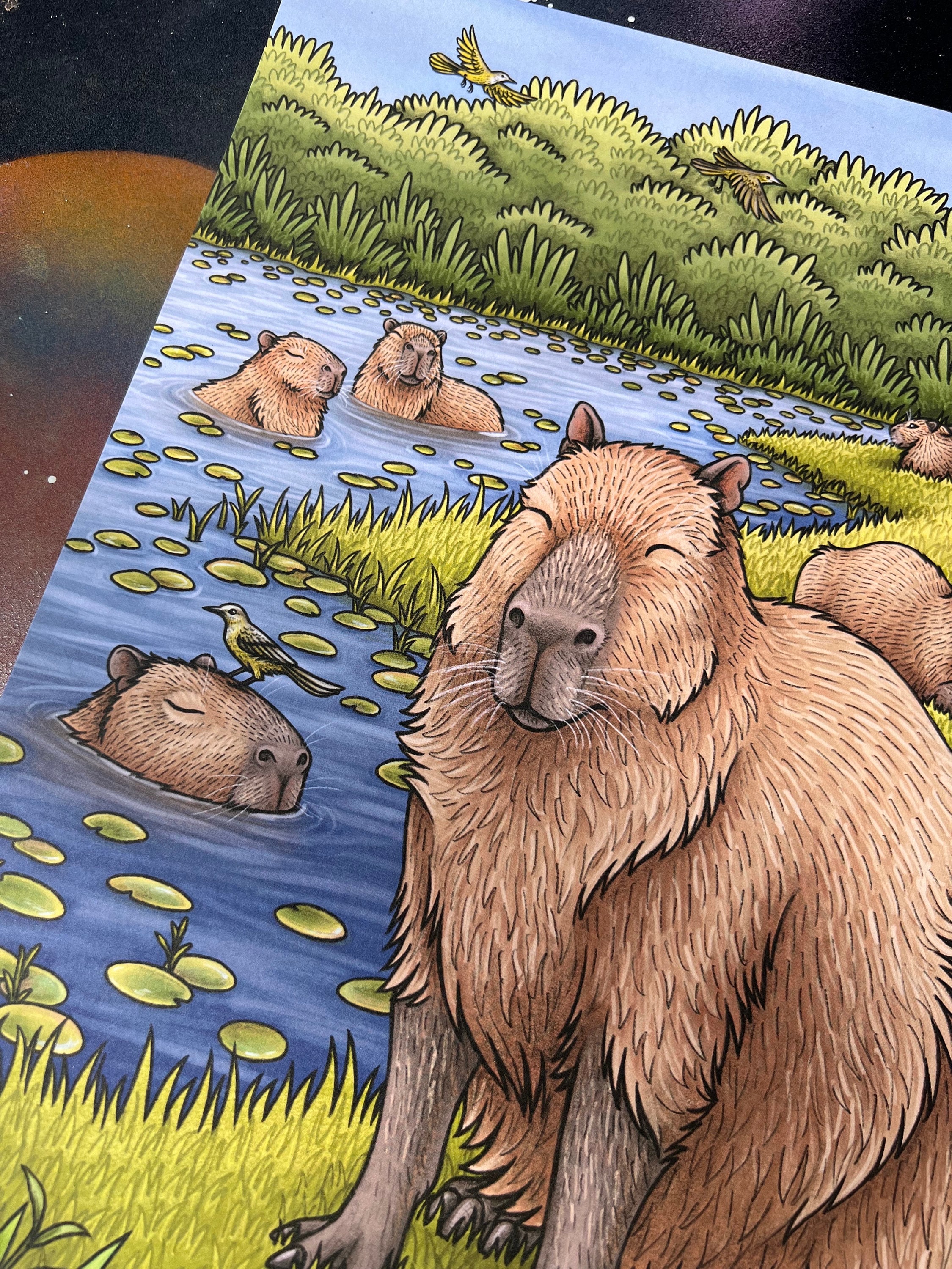 Capybaras Illustration A3 Print - Etsy