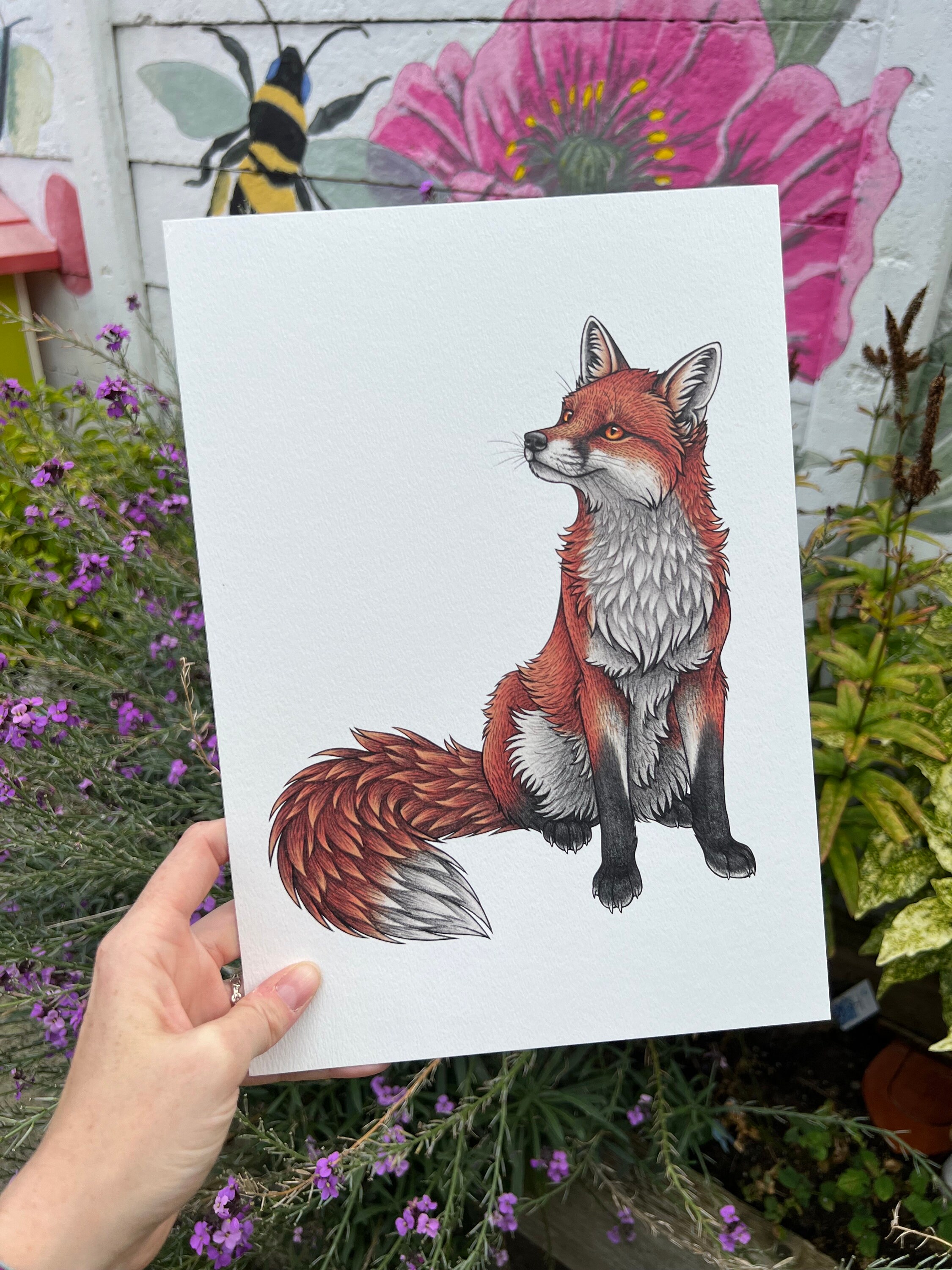 Red Fox Illustration A4 Print - Etsy