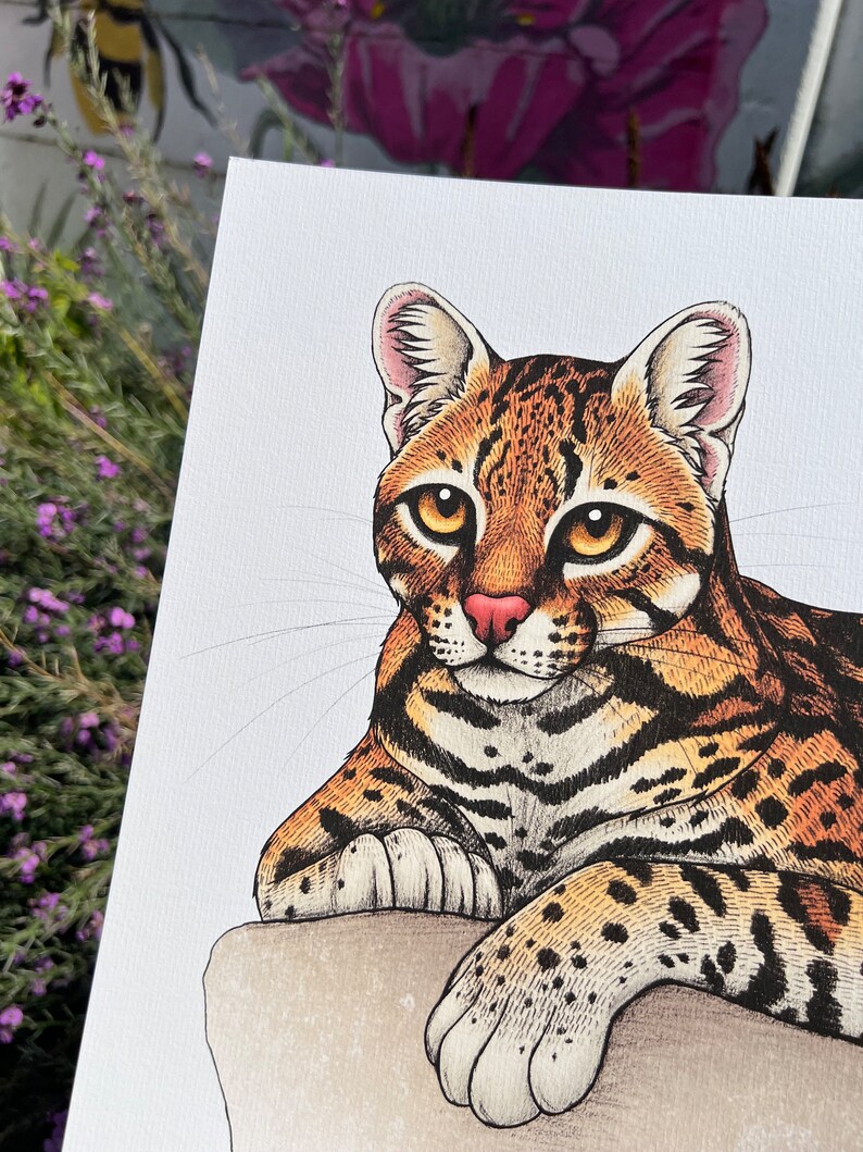 Ocelot Illustration A4 Print - Etsy