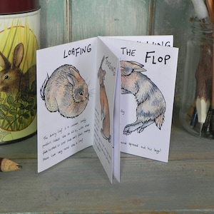 The Tiny Little Book of Bunny Behaviour Illustration Mini Zine image 2