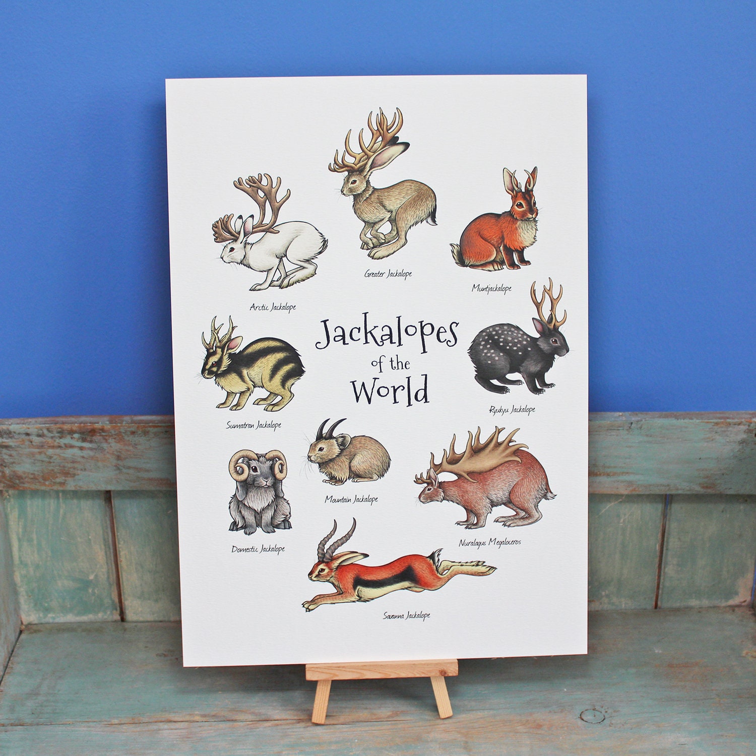 Jackalopes of the World A4 Print - Etsy Australia