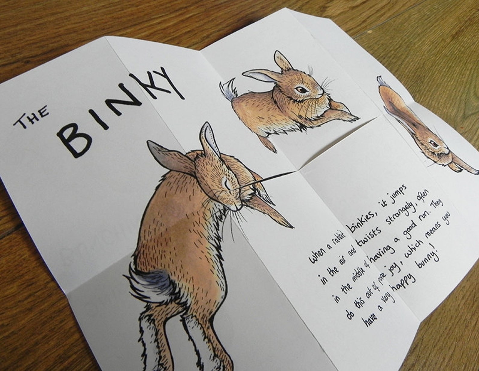 Зина фотографии. Что такое зин у художников. Зин журнал. Давид зин художник. Что такое зин у художников.