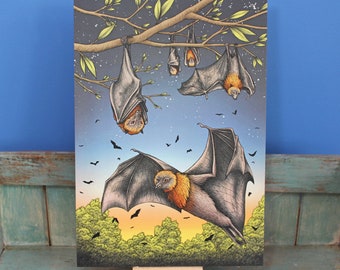 Rodrigues Fruit Bats Illustration A3 Print