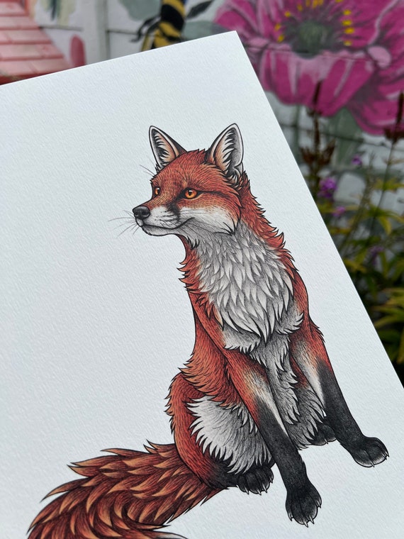 Red Fox Illustration A4 Print - Etsy
