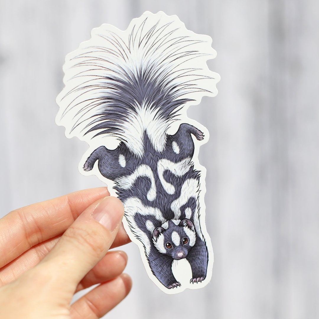 Skunk Sticker Spotted Skunk Vinyl Sticker - Etsy
